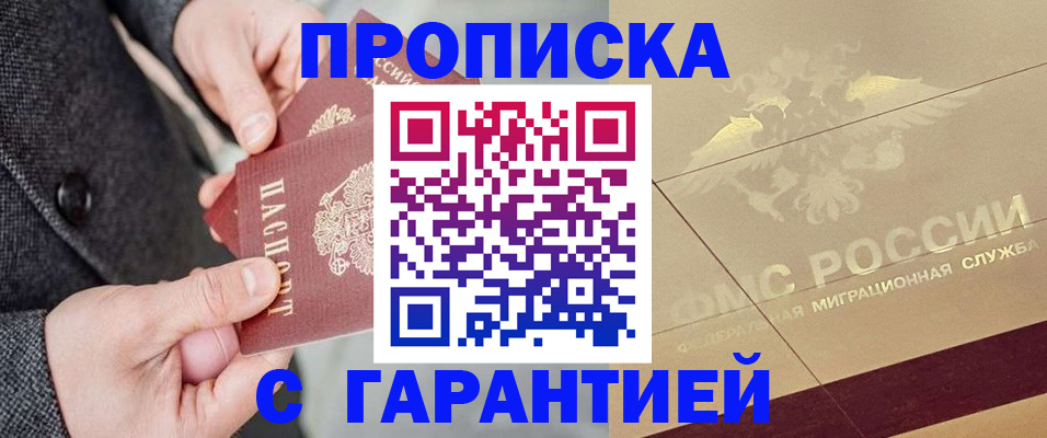прописка 2025 в Камышине